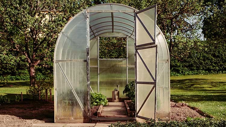 Ein kleines Gewächshaus mit geöffneter Tür steht in einem Garten, darin wachsen grüne Pflanzen auf Beeten.