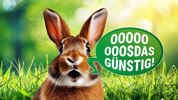 Ein braunes Kaninchen mit geöffnetem Mund, daneben eine grüne Sprechblase mit dem Text OOOOO OOOSDAS GÜNSTIG.
