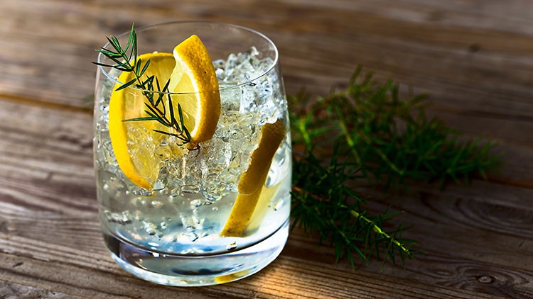 Ein Glas mit Eiswürfeln, zwei Zitronenscheiben und einem Zweig Rosmarin steht auf einem Holztisch, daneben grüner Rosmarin.