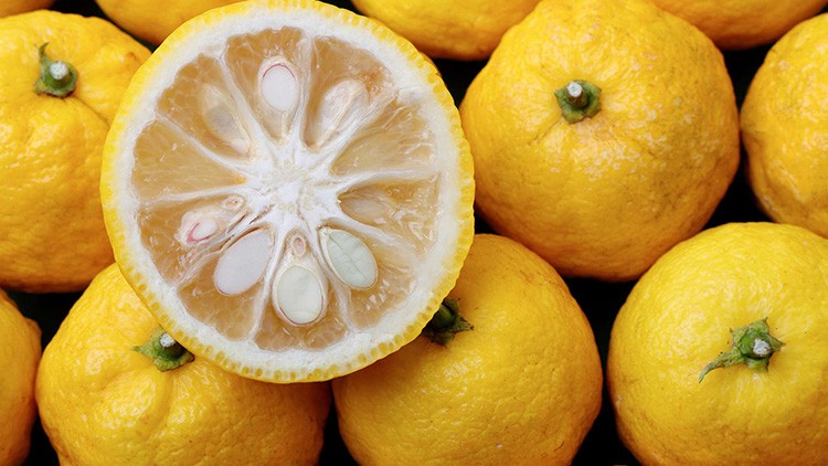 Mehrere gelbe, unreife Zitrusfrüchte mit einer aufgeschnittenen Frucht im Vordergrund, die Kerne und das Fruchtfleisch zeigt.