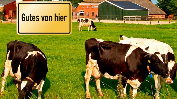 Vier schwarz-weiße Kühe grasen auf einer grünen Wiese vor einem Bauernhof, links oben steht ein Schild mit der Aufschrift Gutes von hier.