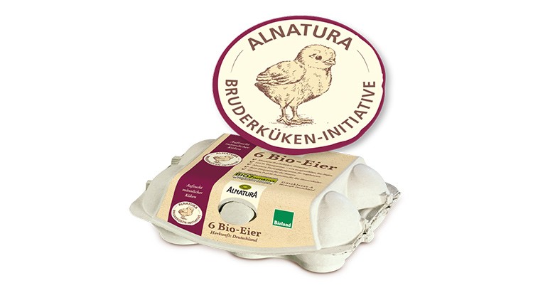 Eierschachtel mit braunem Aufdruck „6 Bio-Eier“ und Siegel „ALNATURA Bruderküken-Initiative“ neben rundem Logo mit Küken.