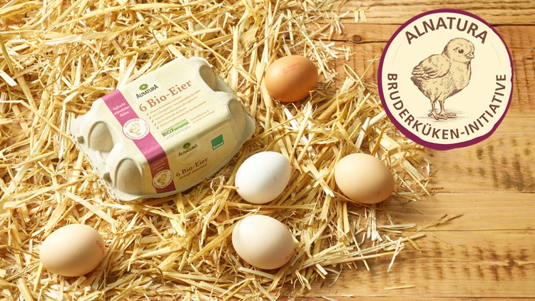 Ein Eierkarton mit der Aufschrift „6 Bio-Eier“ liegt auf Stroh, daneben sechs Eier und ein Siegel „Alnatura Bruderküken-Initiative“.