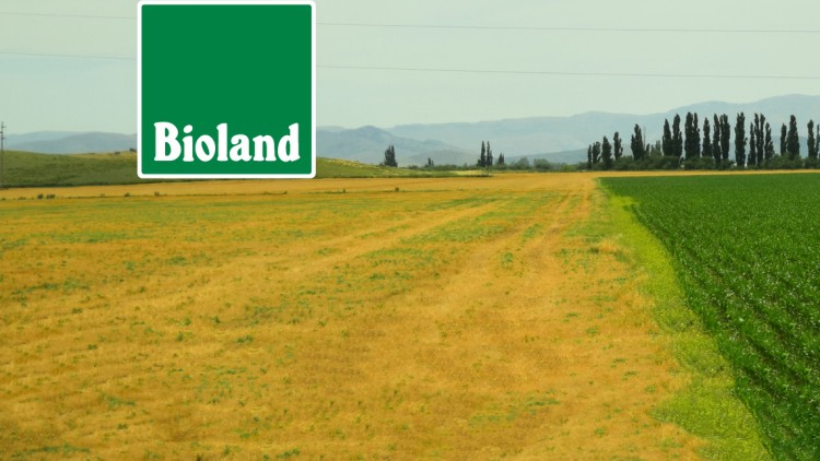 Geteiltes Feld mit gelbem trockenen Gras links und grünen Pflanzen rechts, Logos „Bioland“ oben links und „Bio, GLOBUS“ unten rechts.