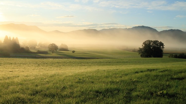 Grüne Wiese im Morgennebel mit einzelnen Bäumen, dahinter Hügelkette und blauer Himmel mit wenigen Wolken.