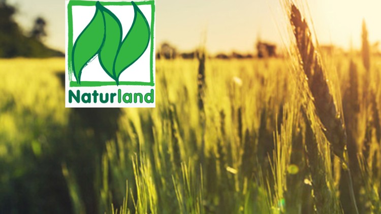 Ein Weizenfeld bei Sonnenuntergang, links das Naturland-Logo, rechts ein grünes Bio-Logo mit GLOBUS-Schriftzug.