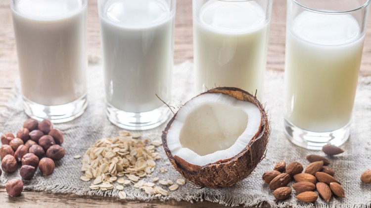 Vier Gläser Pflanzenmilch stehen hinter Haselnüssen, Haferflocken, einer halben Kokosnuss und Mandeln auf einem Stofftuch.