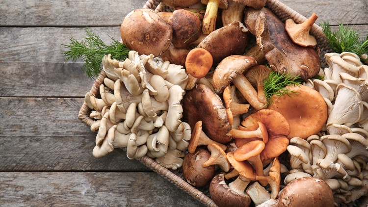 Ein geflochtener Korb mit verschiedenen Pilzsorten wie Austernpilzen, Champignons und Kräuterdekoration auf einer Holzplatte.
