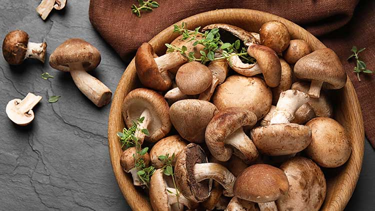 Braune Champignons und frischer Thymian in einer Holzschale auf dunkler Steinoberfläche, daneben ein braunes Tuch.