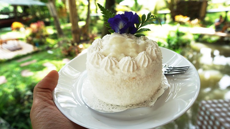 Kleine runde Torte mit weißer Creme, blauer Blüte und grünen Blättern auf weißem Teller mit Gabel, im Hintergrund Natur.