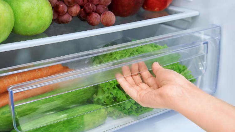 Eine Hand öffnet das transparente Gemüsefach eines Kühlschranks mit Gurken, Salat, Karotten, Äpfeln und Trauben.