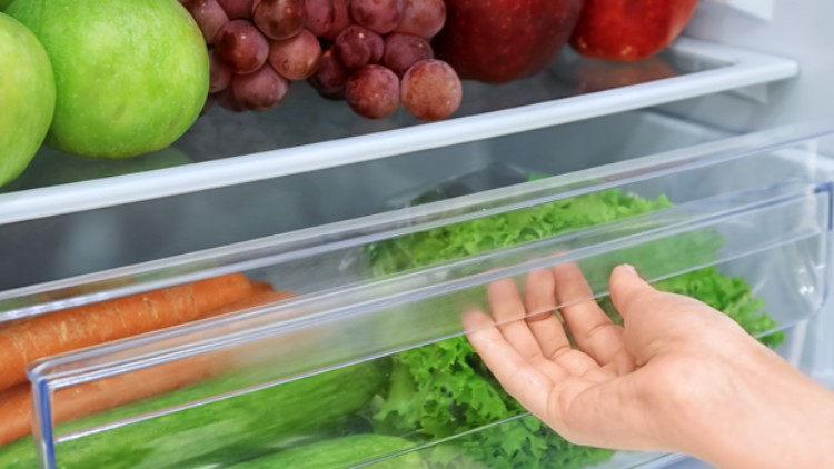 Eine Hand öffnet ein transparentes Gemüsefach in einem Kühlschrank, gefüllt mit Salat, Gurken und Karotten, darüber Obst.