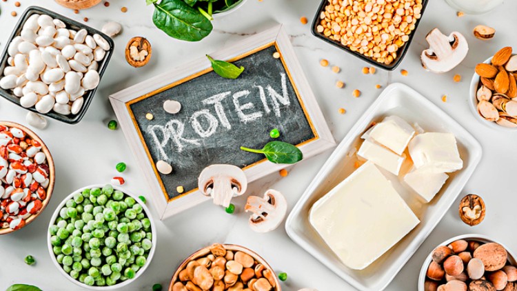 Tafel mit Aufschrift Protein, umgeben von Lebensmitteln wie Nüssen, Erbsen, Pilzen, Käse, Bohnen und Linsen.