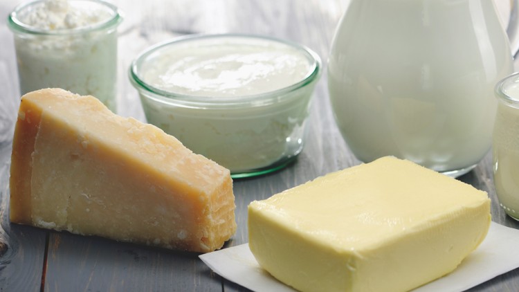 Ein Stück Hartkäse, ein Stück Butter, Glasbehälter mit Joghurt und eine Glaskaraffe mit Milch auf einem Holztisch.