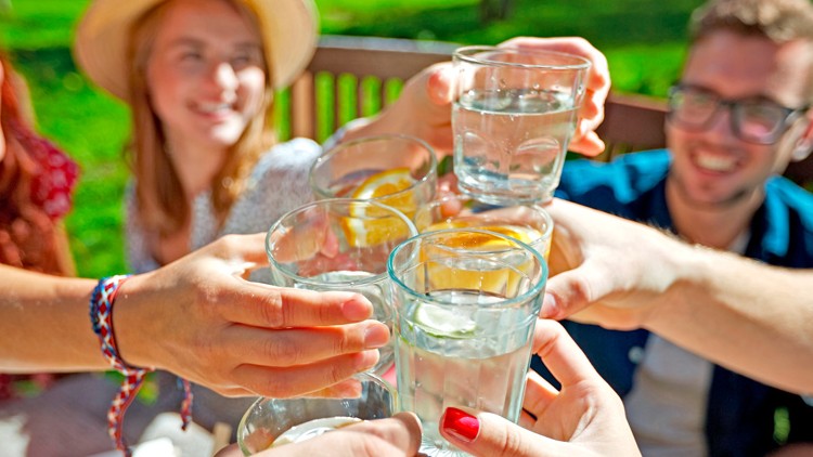 Mehrere Hände stoßen mit Gläsern voll Wasser und Zitronenscheiben im Garten an, im Hintergrund sind grüne Pflanzen.