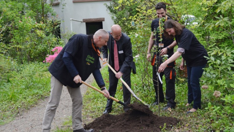 Vier Personen pflanzen einen Baum in einem Gartenbereich, umgeben von grüner Vegetation und blühenden Sträuchern.