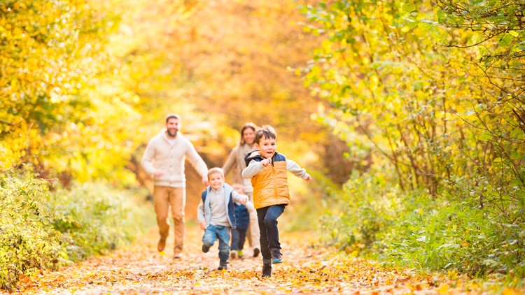 Gruppe von vier Personen läuft auf einem mit Herbstlaub bedeckten Weg durch einen bunt gefärbten Wald.