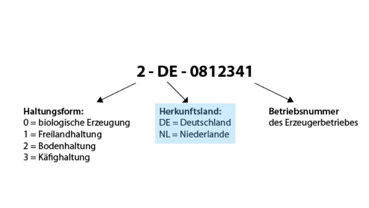 Darstellung der Eierkennzeichnung: Haltungsform, Herkunftsland und Betriebsnummer sind beschriftet, DE steht für Deutschland.