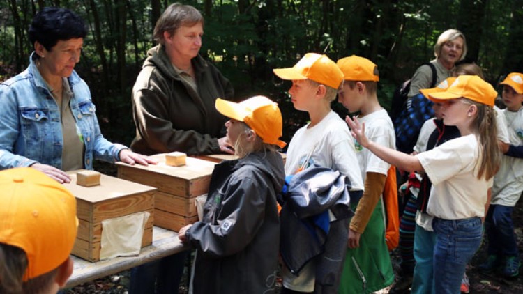Gruppe von Kindern mit orangefarbenen Kappen steht an Holzkästen in einem Wald und spricht mit zwei Erwachsenen.