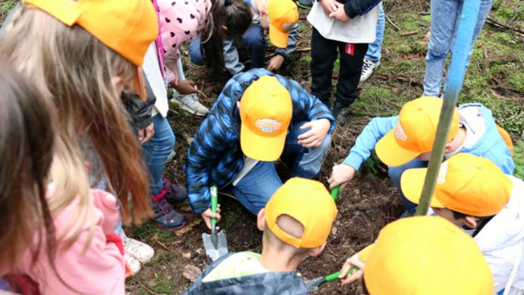 Mehrere Kinder mit orangefarbenen GLOBUS-Mützen pflanzen gemeinsam einen Baum und nutzen kleine Gartenschaufeln.