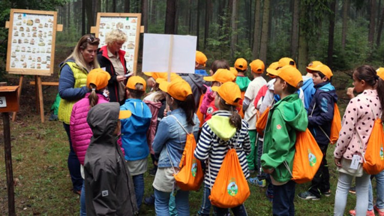 Gruppe von Kindern mit orangefarbenen GLOBUS-Rucksäcken und Mützen steht bei zwei Erwachsenen vor Schautafeln im Wald.
