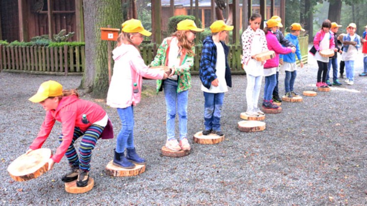 Kinder mit gelben Kappen balancieren auf Baumstammscheiben auf einem Kiesweg in einer waldähnlichen Umgebung.
