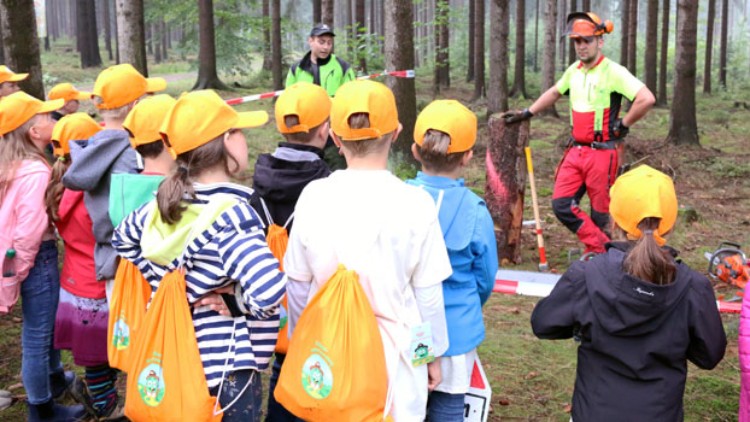 Kinder mit orangefarbenen Kappen und Rucksäcken stehen im Wald und beobachten eine Person in Arbeitskleidung mit Motorsäge.