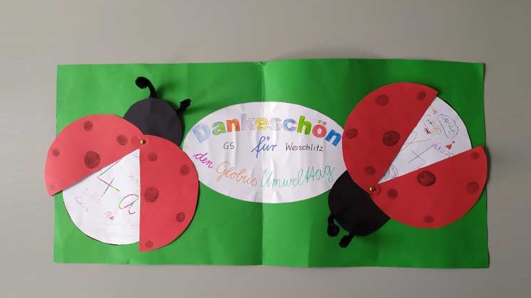 Auf grünem Hintergrund ein Plakat mit Marienkäfern aus Papier und dem Text „Dankeschön GS für den Globus Umwelt-Tag“.