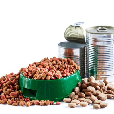 Ein grüner Futternapf mit rotem und braunem Trockenfutter, daneben liegen geöffnete und geschlossene silberne Dosen auf weißem Hintergrund.