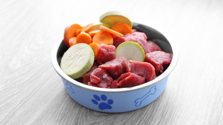 Eine blaue Futterschale mit Pfoten- und Knochenmotiv enthält rohes Fleisch sowie geschnittene Karotten und Zucchini.
