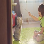 Ein Kind in grünem T-Shirt spielt mit einer grauen Katze, die auf den Hinterbeinen steht, auf einem grünen Teppich.