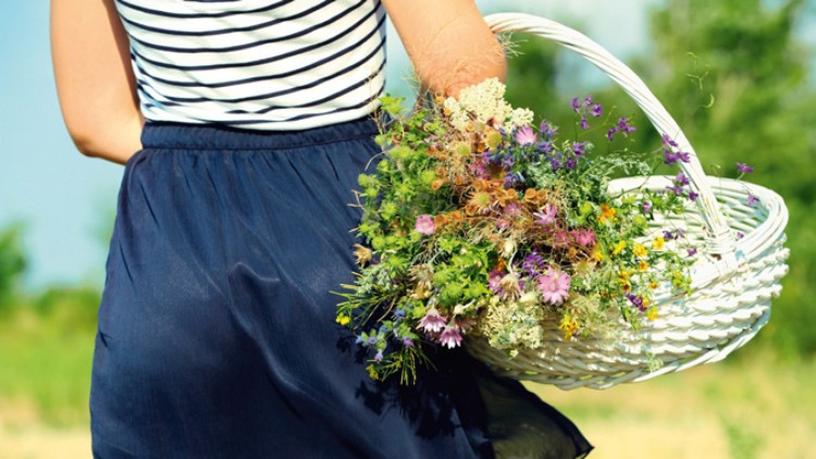 Person in gestreiftem Oberteil und dunklem Rock trägt einen weißen Korb mit bunten Wildblumen auf einer Wiese.