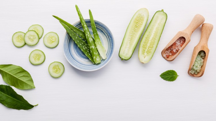 Geschnittene Gurke, Aloe-vera-Blätter in einer blauen Schale, Zitronenblätter und Holzlöffel mit rosa und grünem Salz auf weißem Untergrund.