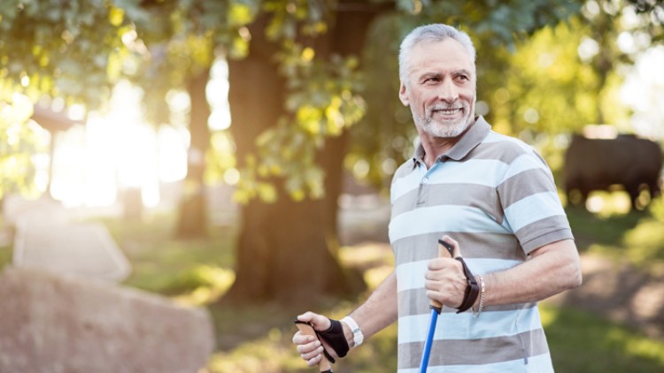 Person mit gestreiftem Poloshirt und Nordic-Walking-Stöcken in einem sonnigen Park mit Bäumen und unscharfem Hintergrund.