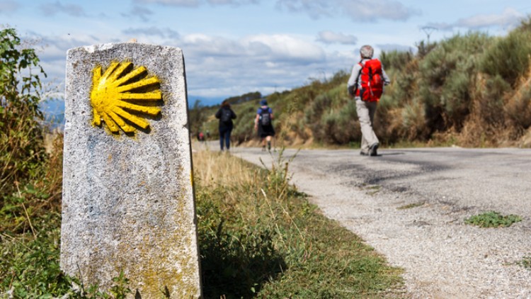 Gelber Pilgermuschelwegweiser aus Stein am Wegesrand, im Hintergrund Menschen mit Rucksäcken auf einem Wanderweg.