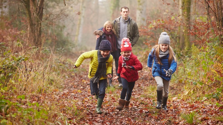 Vier Kinder in bunter Herbstkleidung laufen auf einem mit Laub bedeckten Waldweg, im Hintergrund folgen zwei Erwachsene.