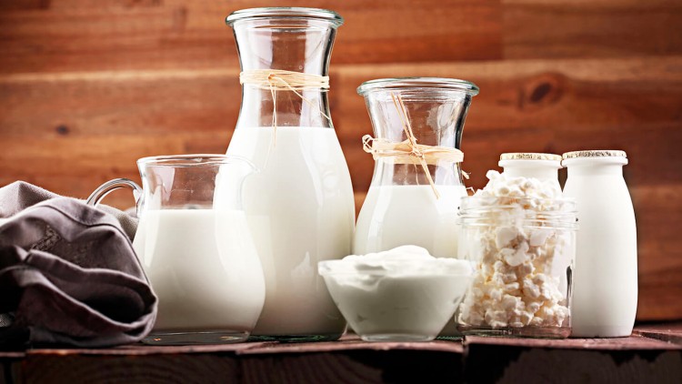 Glasflaschen, Gläser und Schalen gefüllt mit Milch, Sahne und Quark vor hölzernem Hintergrund, links liegt ein graues Tuch.