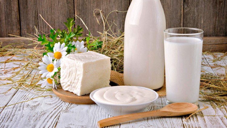 Eine Glasflasche Milch, ein gefülltes Glas, eine Schale mit Joghurt, ein Stück Quark, Holzlöffel, Kamillenblüten und Heu.