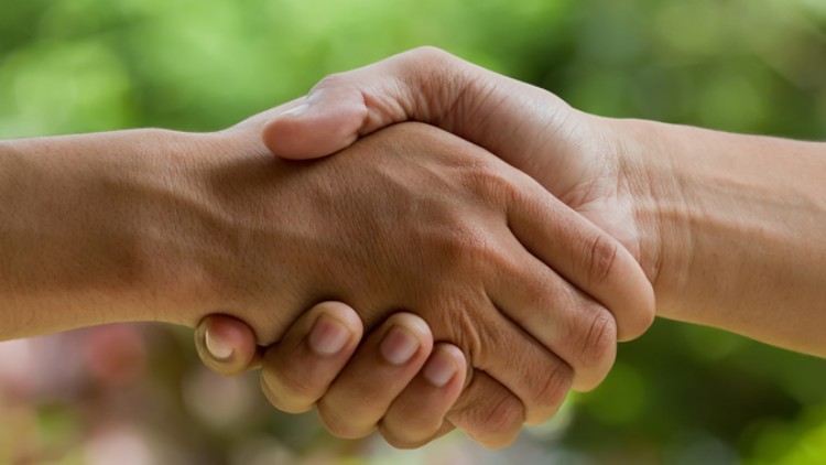 Zwei Hände unterschiedlicher Personen schütteln sich vor einem unscharfen Hintergrund mit grünen Farbtönen.