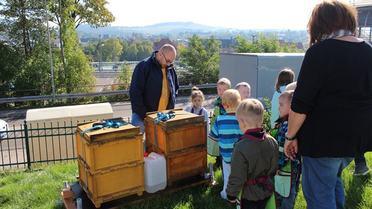Ein Mann zeigt einer Gruppe von Kindern zwei hölzerne Bienenstöcke auf einer Wiese, daneben steht ein weißer Kanister.