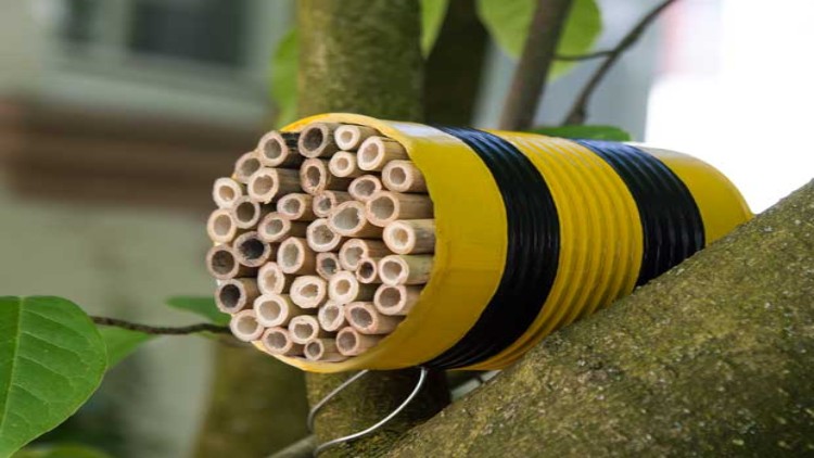 Eine gelb-schwarz bemalte Dose mit Bambusröhrchen, die als Insektenhotel dient, ist an einem Ast befestigt.
