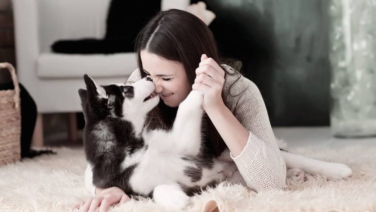 Eine Person liegt auf einem weichen Teppich und spielt liebevoll mit einem schwarz-weißen Hundewelpen.