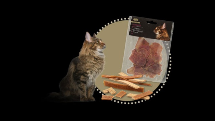 Langhaarige Katze sitzt neben einer Packung Katzenleckerlis und mehreren verstreuten Snacks auf schwarzem Hintergrund.