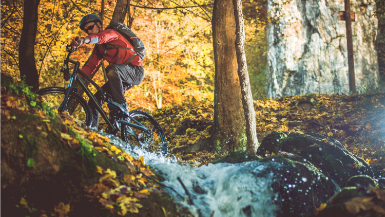 Person mit rotem Oberteil fährt mit einem Mountainbike durch einen Wald mit herbstlich gefärbtem Laub und überquert einen Bach.