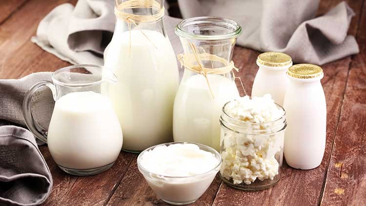 Verschiedene Milchprodukte wie Milch, Joghurt und Hüttenkäse in Gläsern und Schalen auf einem Holztisch mit Stofftuch.