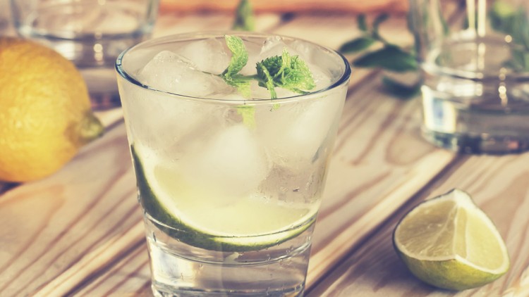 Ein Glas mit Eiswürfeln, Limettenscheiben und Minzblättern steht auf einem Holztisch, dahinter Zitronen und weitere Gläser.