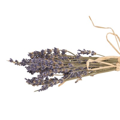 Ein getrockneter Strauß aus violettem Lavendel, zusammengebunden mit einer Schleife aus hellbraunem Bast.