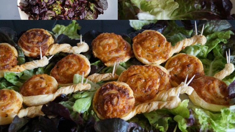 Mehrere Schnecken aus Blätterteig mit Füllung liegen auf grünem Salat und sind mit Zahnstochern fixiert.