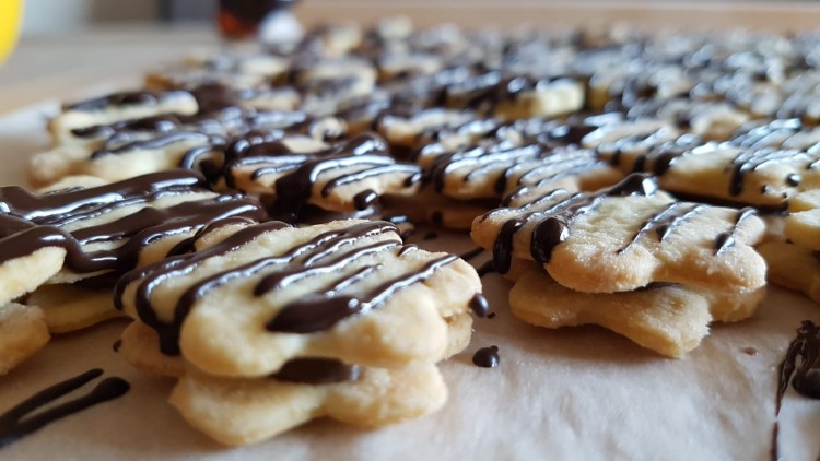 Nahaufnahme von sternförmigen Plätzchen aus Mürbeteig, die mit feinen Linien aus dunkler Schokolade verziert sind.