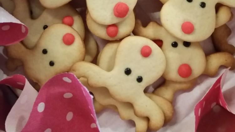 Plätzchen in Rentierform mit roten Nasen und schwarzen Augen auf gepunktetem pinkem Papier in einer runden Dose.